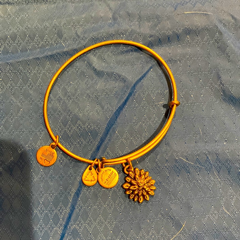 Alex and Ani bracelet